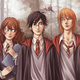 Illustration for article titled Well always remember Harry Potter